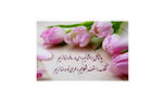 فال حافظ امروز / 10 مرداد با تفسیر دقیق + فیلم